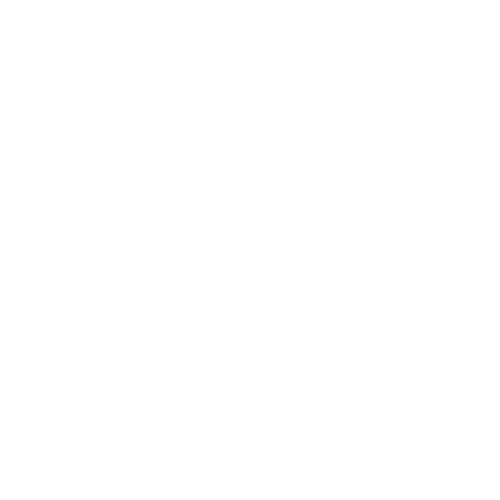 Renaissance Hotels White Logo