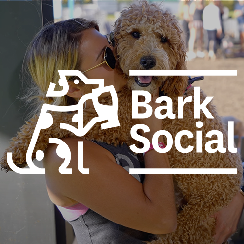 Bark Social Promotional Video